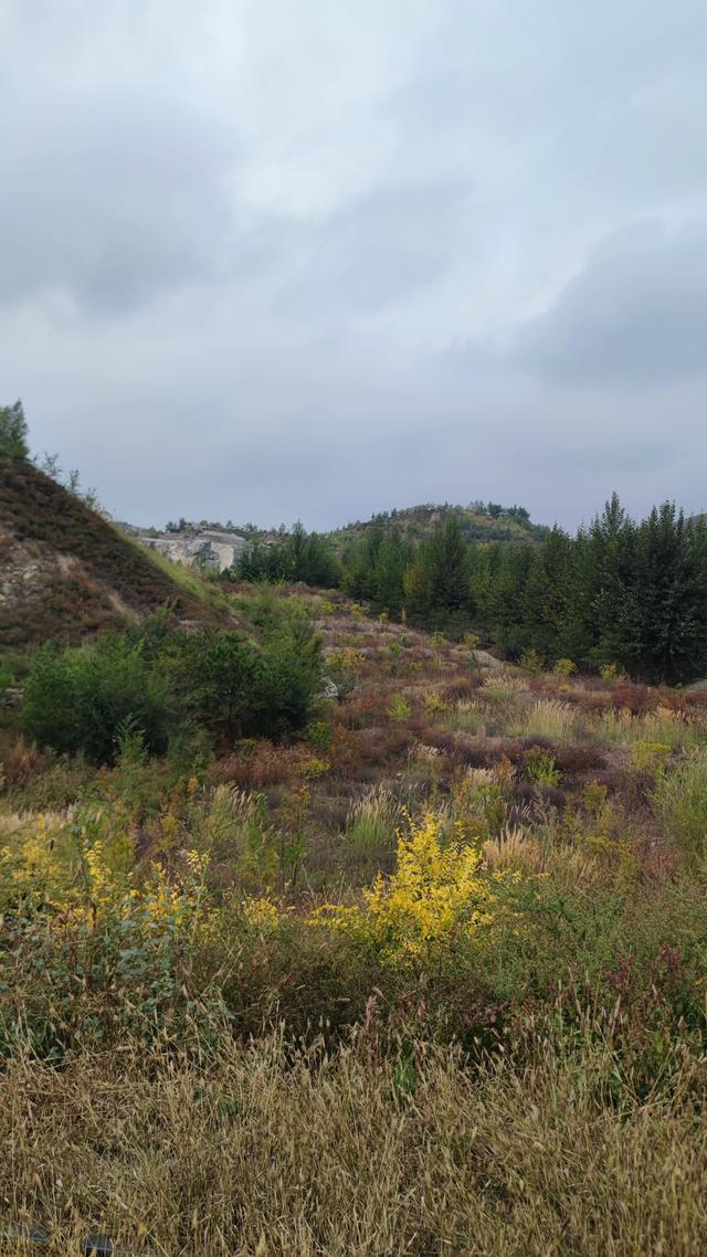 闲逛包头大青山南坡笸箩铺景点，去时一人，景区也一人，有点荒野