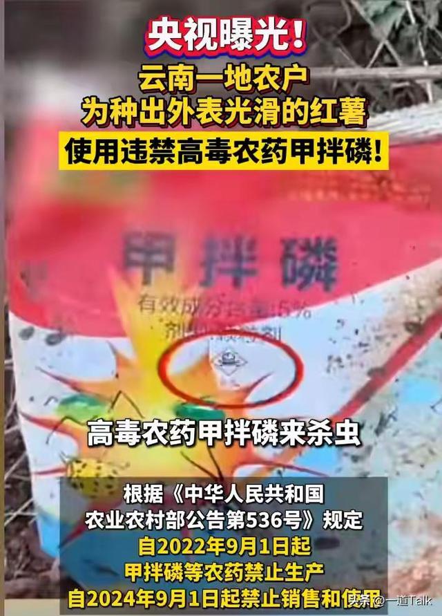 央视曝光毒红薯！商户主动投毒，流窜至全国多地	，背后利益链曝光