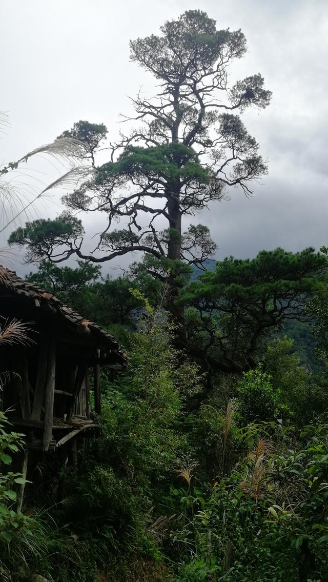 柳州周边小众景点（元宝村、小桑村、青山寨、培秀村、冬竹山）