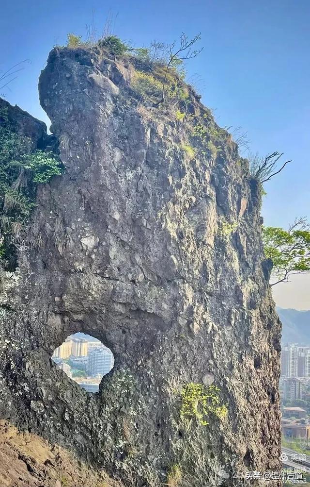 罕见的天下奇石!温岭石夫人,你可曾见过?