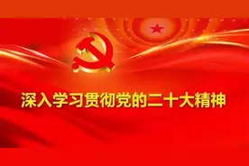 中越铁路（红河—胡志明）“一箱到底重出重进”专列如期抵达越南胡志明市图片