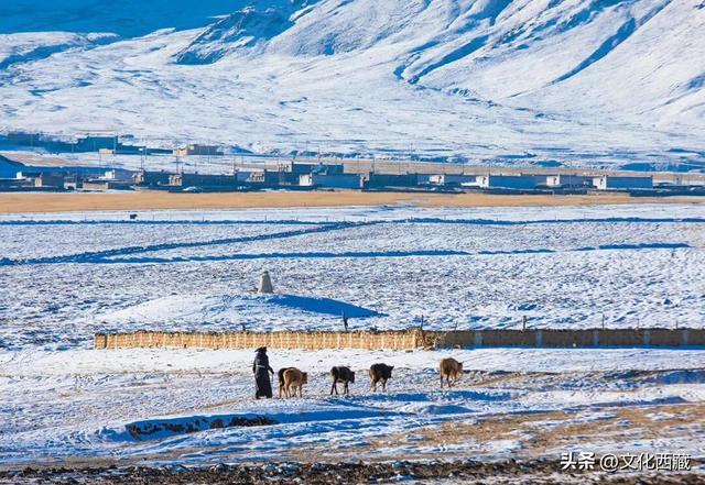 可惜你不知道下雪后的西藏究竟有多美?