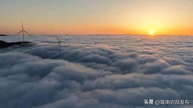 牧云者招募：宕昌草原，你的旷野乌托邦