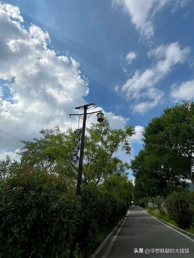 泰安道朗镇的“花田北张壁画村”，拍照很出片呢！