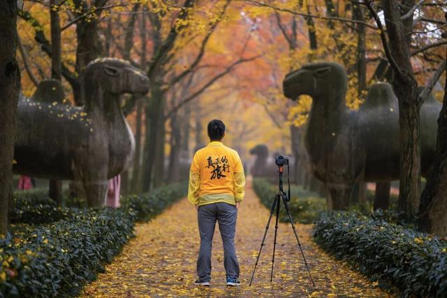 高铁1h！比西安秀美！这座千年古都秋色绝了！高光仅20天！