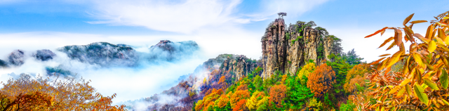 重磅官宣！2026元旦游蒙山，赠送蒙山年卡！全年享无限畅游~