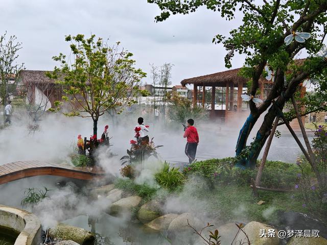 云梦仙境花开十月花雾醉游人