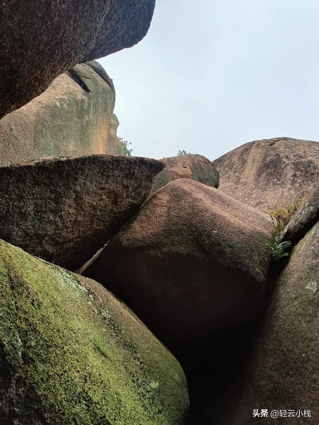 爬灵山石树感触到的（一）