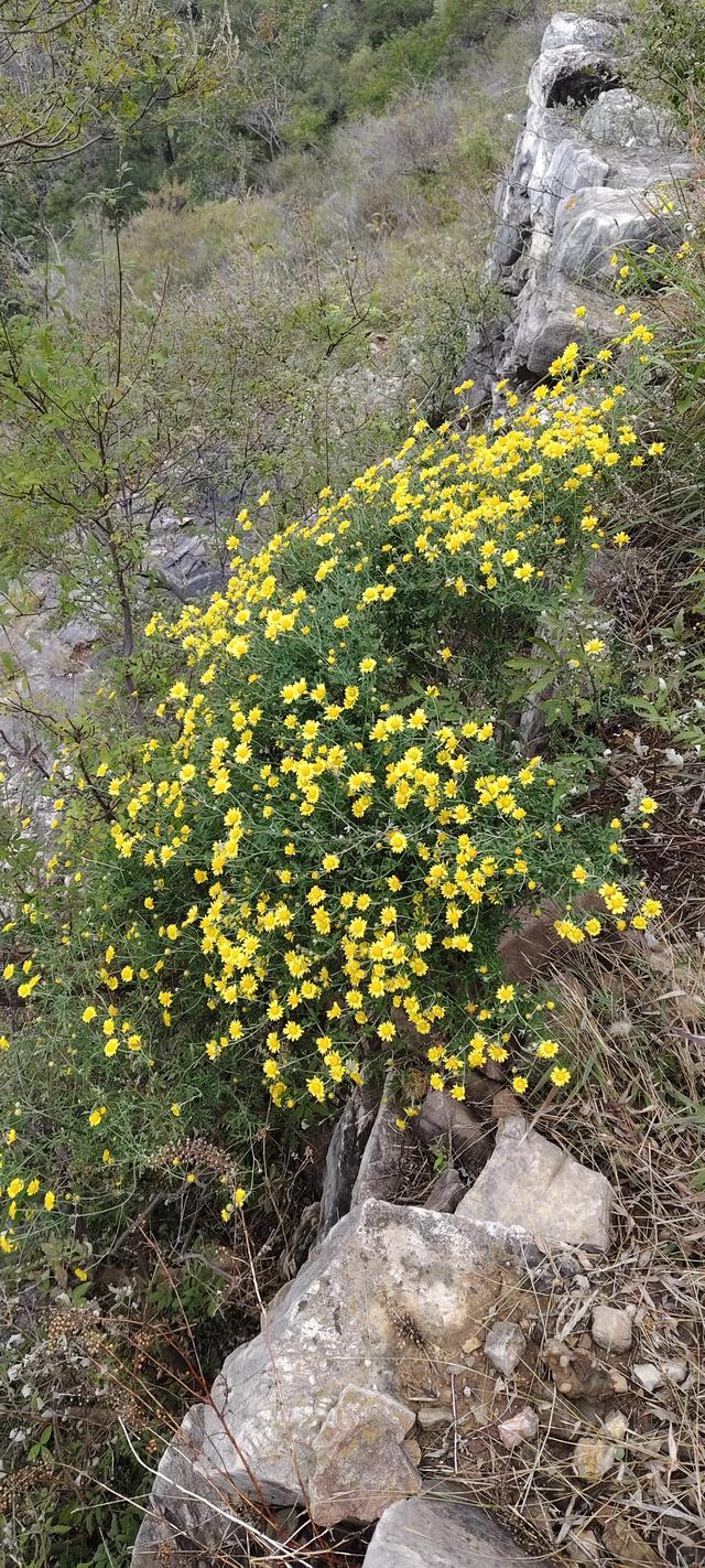 探访博山源泉郑家庄月亮门象鼻子山