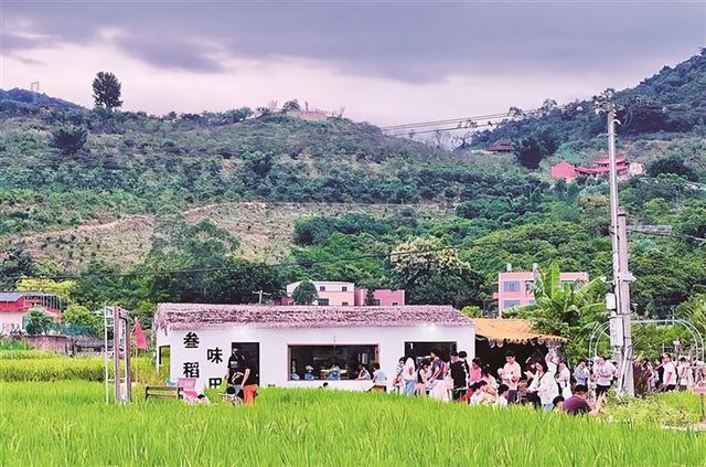 厦门秋意渐浓，快来这些地方体验别样秋韵→