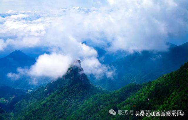 入伏去芦芽山，赴一场清凉之约！