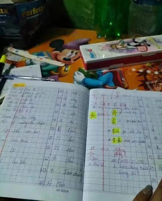 我，网聊学越南语，却意外娶到小5岁越南美女