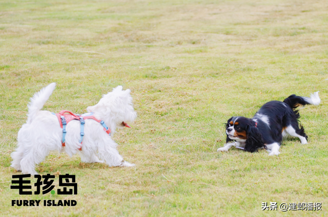 江 心 洲 秋 日 漫 游