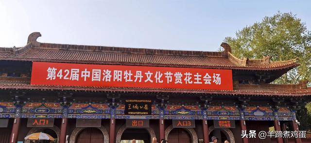 做几天洛阳人——游河南洛阳赏牡丹芬芳 总体概述（四）