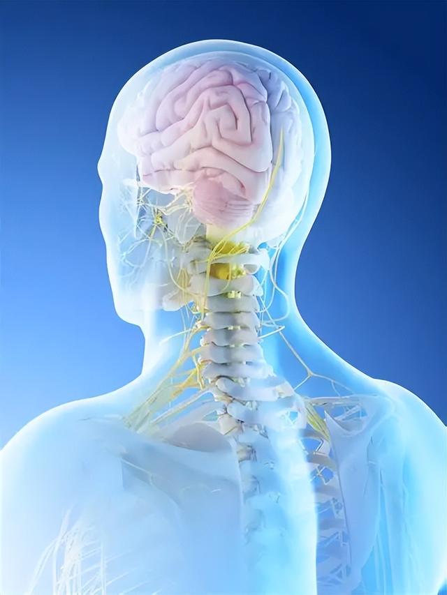 智能手表压力监测误判，HRV原理与感受存鸿沟，科学性遭质疑！
