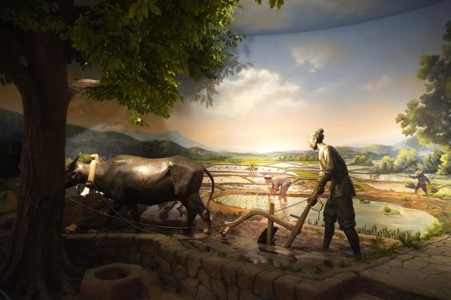 今日重阳，老话“重阳大日头，寡妇要发愁”，重阳晴天有啥预兆？