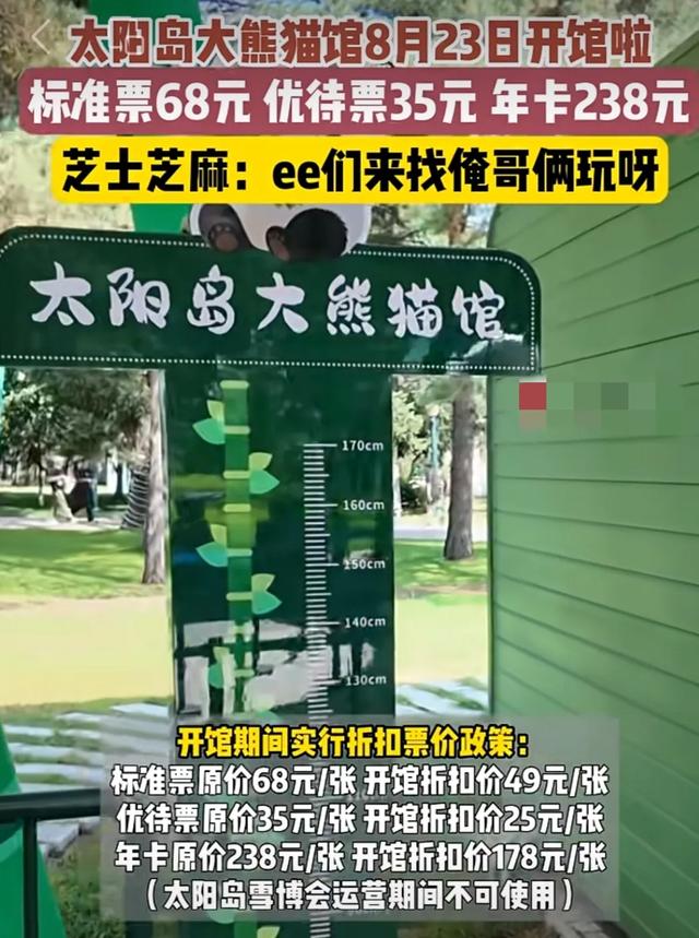 冰城萌宝驾到！哈尔滨太阳岛大熊猫馆明日盛大开馆