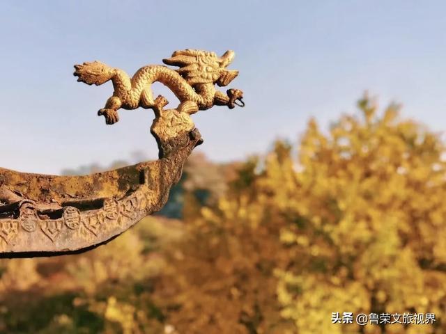 镇江的秋日才是真绝色，三山染彩、古街流韵，连空气都带醋香