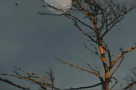 神仙级别的绝美歌词图片