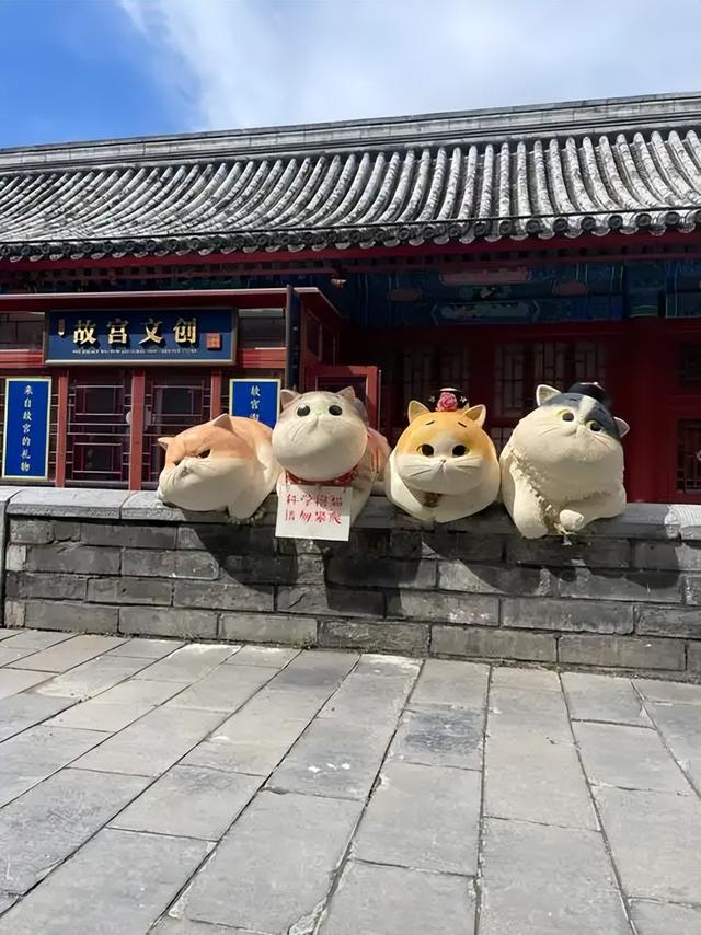故宫里的宫猫火了！白天当网红，晚上做保安，背后还有600年编制