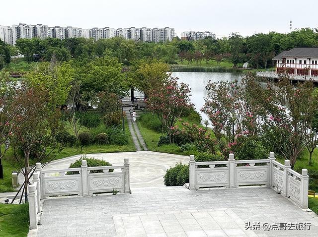 成都最近紫薇花公园，被严重低估，花开惊艳，地铁公交车直达！