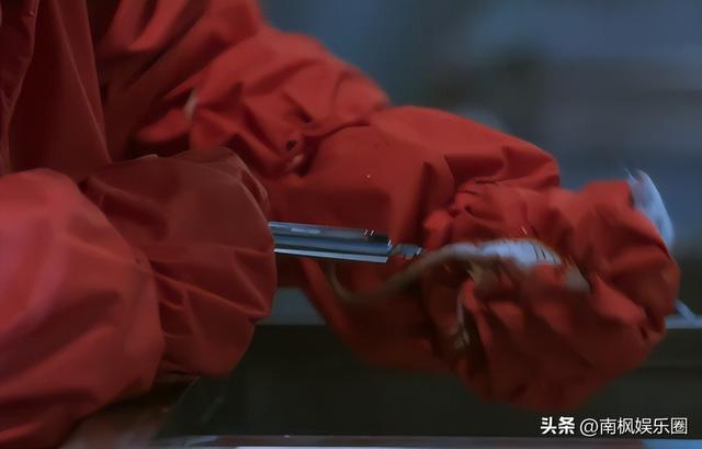 电影《731》第一轮真实口碑出炉！观众打分和评价都“一针见血”
