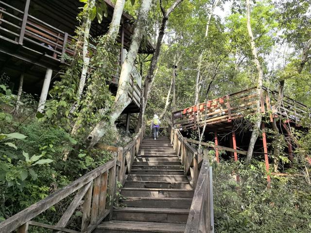 带小朋友去贵州茂兰，连环探洞加漏斗原始森林徒步二日游全攻略！