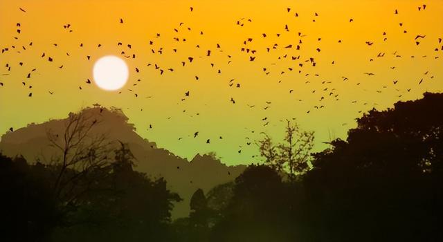 官宣！深圳、成都市民免费游星湖，时间持续至……