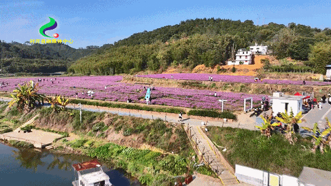 邂逅山水人文交织的活力封开→