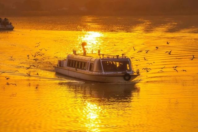 真的很美！2025苏州太湖观鸟超详细攻略来啦！