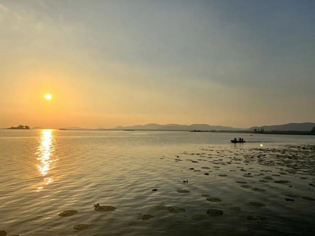 滕州微山湖红荷湿地：秋日限定的诗意画卷