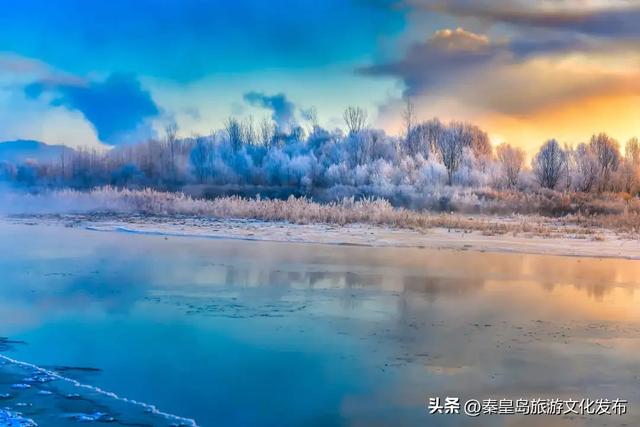 秦皇岛多地惊现雾凇奇观，玉树琼枝，绝美不输东北！