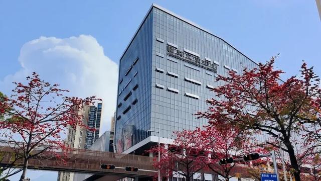又一明星演唱会在龙岗开唱！观演攻略→