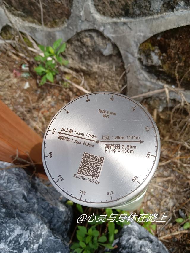 宁波东出发，一天玩转三门七个小众景点，随手一拍就是桌面壁纸。