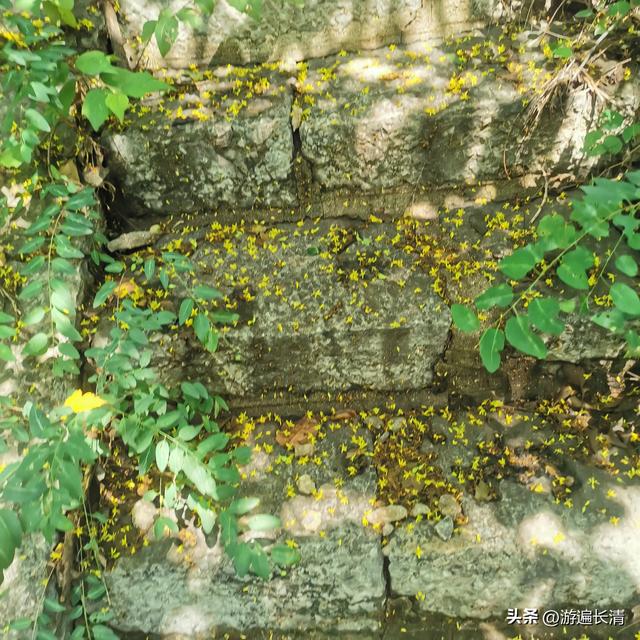 &056.炎炎烈日哪里去--张夏洞府天