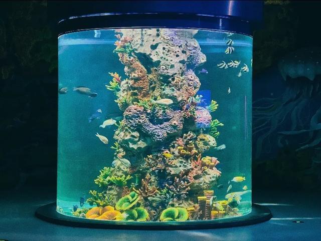 天津的会客厅，永远给您留座儿！