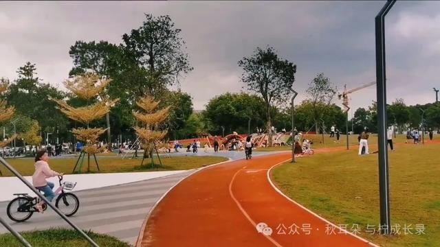 坪山,那片我们跑过的大草坪