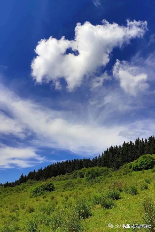 清凉20℃！来漳县，感受夏日里的“天然冰箱”