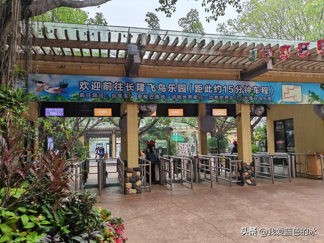 参观广州长隆野生动物园，全程感觉眼累手累腿不累