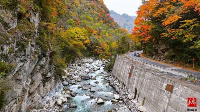 平武加入“大熊猫国家公园旅游目的地”品牌计划