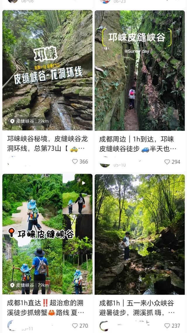 周末就冲！亲测3条被严重低估的徒步线，林海吸氧峡谷石窟！全部免费最快40min飙拢！