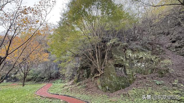 藏在麟游山谷里的隋唐秘宝！慈善寺石窟：皇家香火绕佛千年