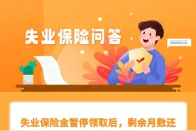 失业保险金暂停领取后，剩余月数还可以再次领取吗？图片