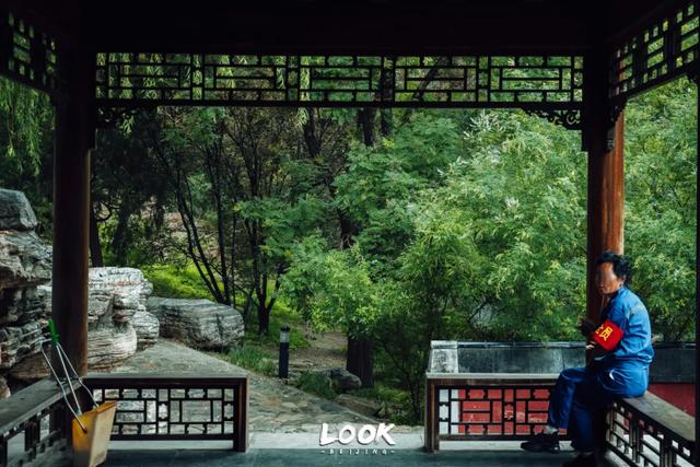 夏天来北京，就为了逛这座公园