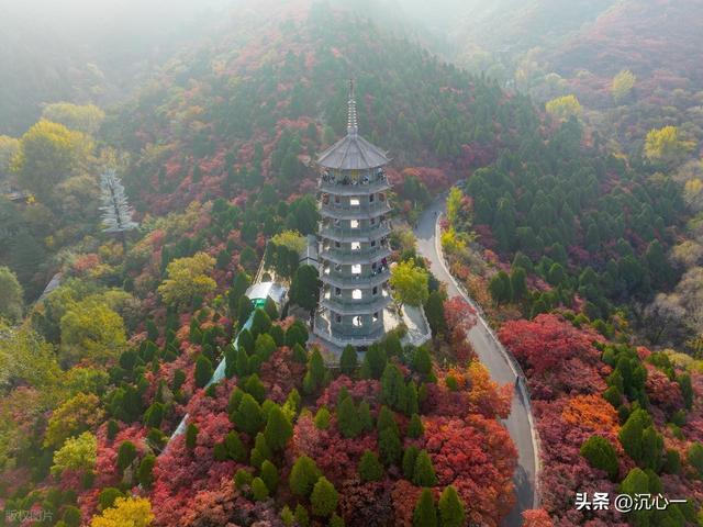 白发与青春的重逢