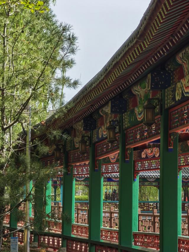 初秋，迎着习习秋风骑行赏景