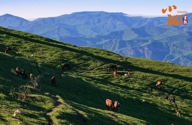 【小陇画报·401期】张家川：探寻关山古道 邂逅牧场风光