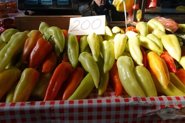 塞尔维亚，一座被轰炸过78天的城市的新生，贝尔格莱德一日游记