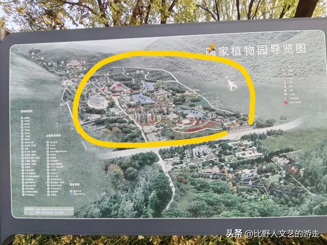 北京：焦糖色的秋日正当时，还有美味素食+直达专列，走啦！