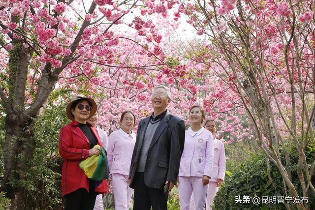 华裔老人杨晶在晋宁的康旅生活